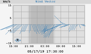 Wind Vector