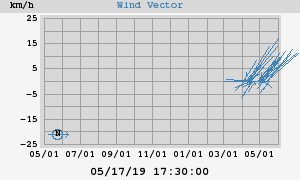 Wind Vector